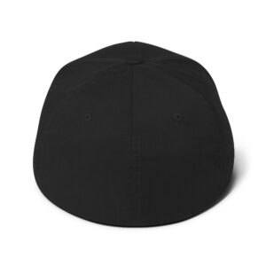 KING Structured Twill Cap - Image 3